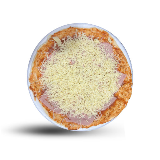 PIZZA CONGELADA 20CM