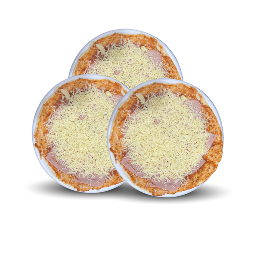 PROMO (PIZZA CONGELADA X 3)